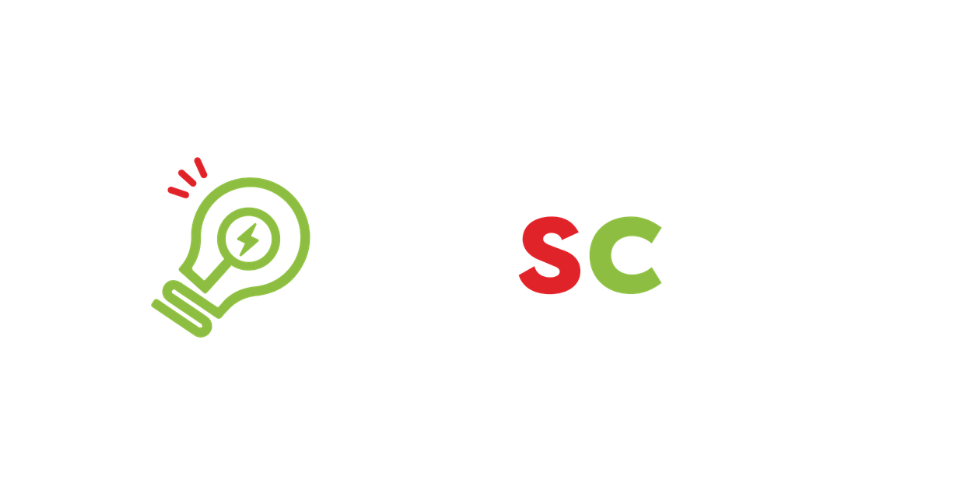Programa Nascer
